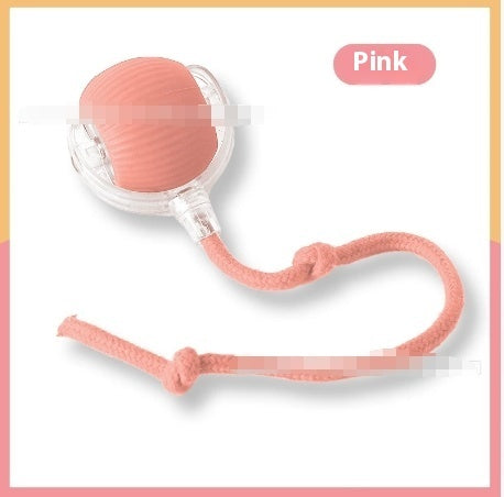 Interactive Rolling Ball Toy