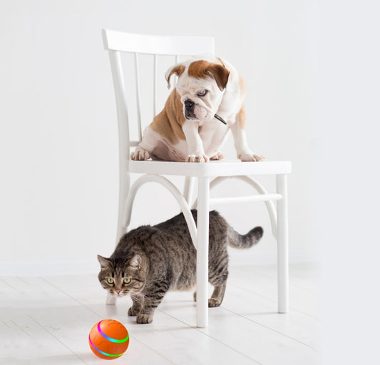 Rolling Ball Toy