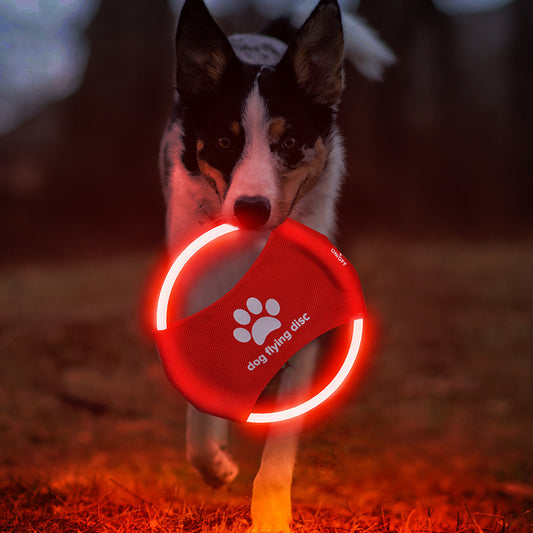 Glowing Flying Disc Toy